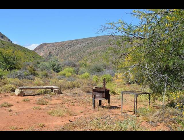 FARM FOR SALE IN CALITZDORP